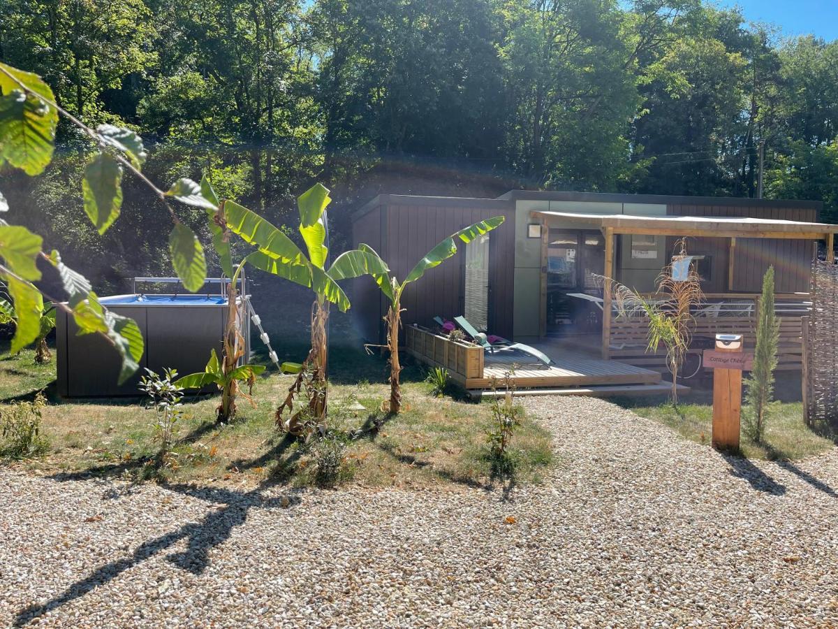 Vinea - Hebergements Touristiques, Terrasse Et Piscine Privative * Bourre
